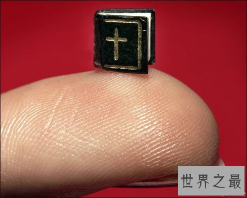 世界上最小的书