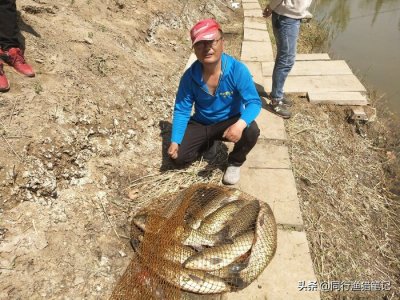 玉米粒钓鱼怎么挂钩效果最好(玉米能钓哪些鱼类效果好)