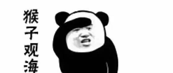 忘了他吧 我偷电动车养你 斗图搞笑表情包