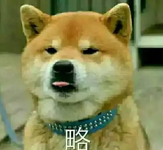忘了他吧 我偷电动车养你 斗图搞笑表情包