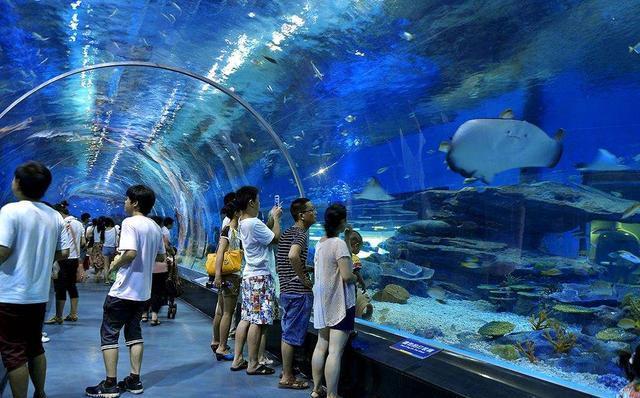 郑州海洋馆，带你领略不一样的海底世界