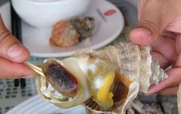 海螺的“尾部”是啥，能吃吗？不少人吃着还“挺香”