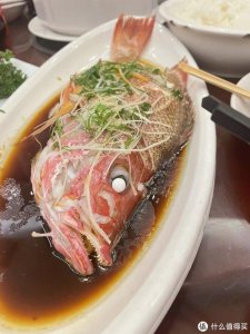 ​海鲈鱼和淡水鲈鱼的区别