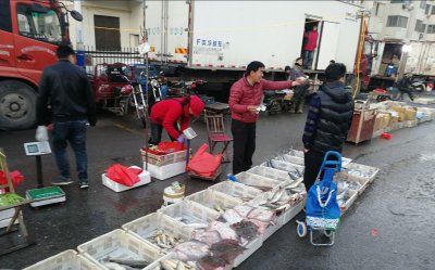 ​海鲜市场春鲅鱼上市每斤23元 银鲳鱼16一斤 小黄花新鲜便宜