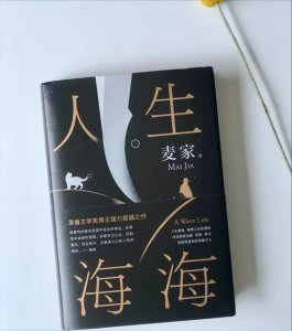 ​麦家《人生海海》