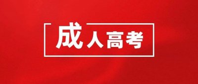 ​山东成人高考成绩查询时间