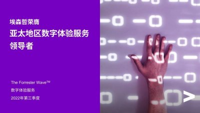 ​埃森哲：数字体验服务领导者