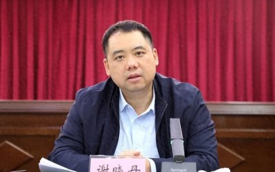 ​“80后”清华博士谢晓丹再次履新，他系清华定向选调生