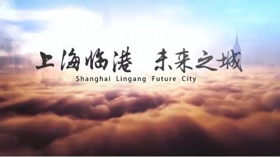 ​临港新片区轨交线、市域线汇总，未来最快30分钟直达陆家嘴！
