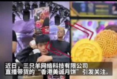 ​三只羊事件：背后隐藏的真相与反思｜时评