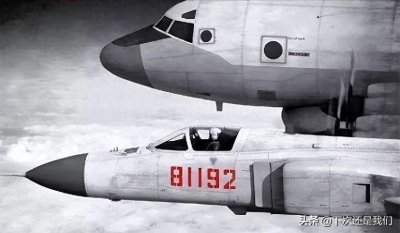 ​英雄的挽歌：重温“81192”事件探寻真相背后的时代印记