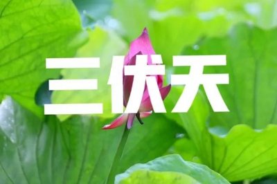 ​2023年“三伏天”时间表来了！总共40天，哪天入伏？夏天热不热？