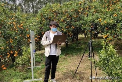 ​盘点那些默默挣钱的生态农业好项目