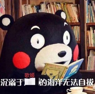 ​我生活中的那些虚拟歌姬们