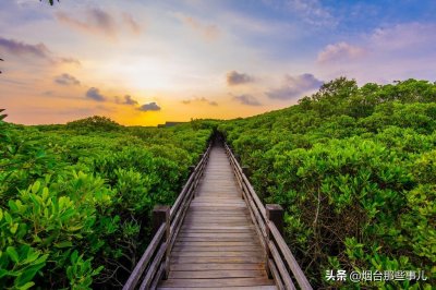 ​烟台免费景点梳理 包含不少网红打卡地点