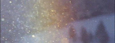 ​金星第一任妻子貌美如花，离婚时还怀着孕，如今过得怎样了？