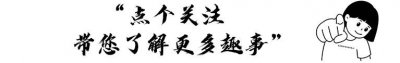 ​查理曼帝国的历史和经济背景都是什么？