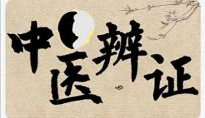 ​六经辩证 少阳病证