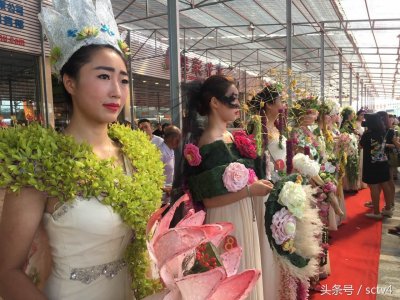 ​三圣乡荷花艺术节 “荷花仙子”演绎夏日风情