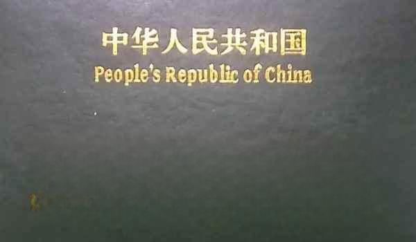 登记证书编号在哪里看-