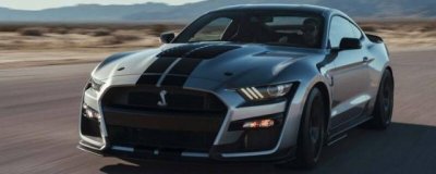 ​福特野马蛇标是什么车