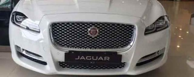 捷豹的标志是什么样子的-