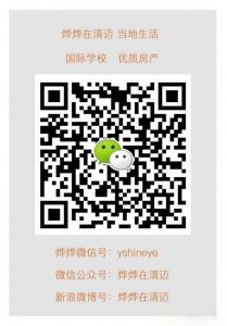 ​泰国清迈汽车什么价？