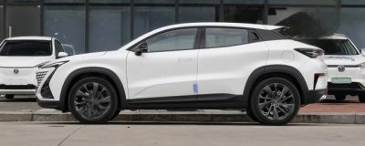 ​BMBS是什么意思