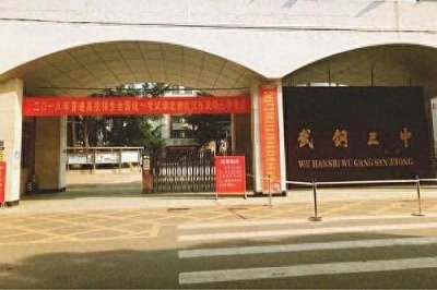​借今年高考东风，浅聊一下武汉青山的武钢三中的过往今生