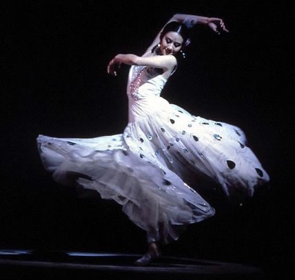 杨丽萍魅力依旧，演绎舞者人生不老传奇