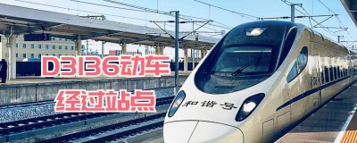 ​D3136动车经过站点，连接东南沿海多个主要城市，32个停靠站点