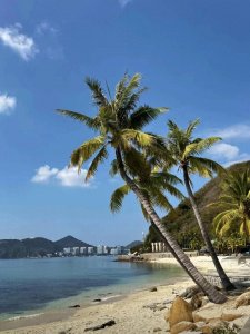 ​适合冬季旅行的7个热门城市，告别寒冷，享受温暖阳光！