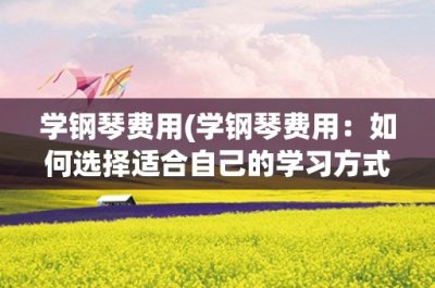 ​学钢琴费用(学钢琴费用：如何选择适合自己的学习方式)