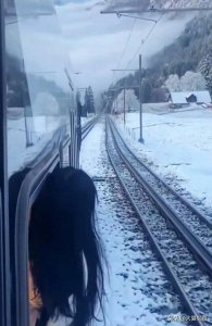 ​原来狗熊岭真的存在，原来在这，我却被网友的评论弄哭了