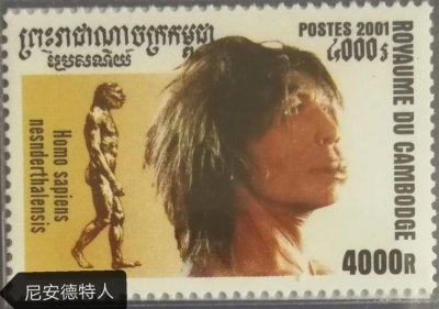 ​探求人类的起源和进化（九）——智人（尼安德特人）