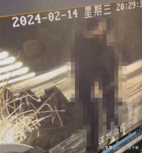 ​情侣在公园做不雅行为，警方介入，律师：上传视频者涉嫌违法！