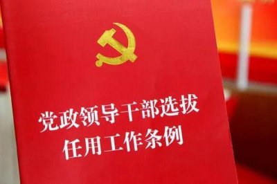 ​为什么提拔干部要论资排辈？