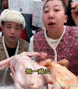 东北雨姐的处理让人深思辛巴的观点值得一听