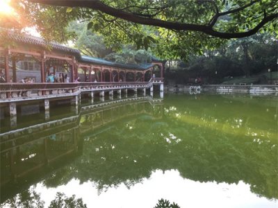 ​鹅岭公园：山城之巅的园林