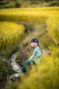 ​24部好看种田文，地球到星际，发家致富奔小康，爱情事业两不误