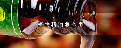 ​植物精油怎么用