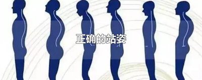 ​正确的站姿