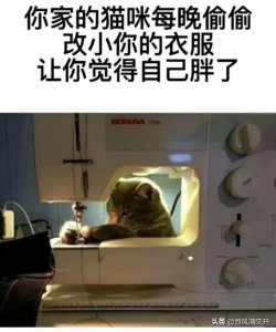 ​什么是皮婚