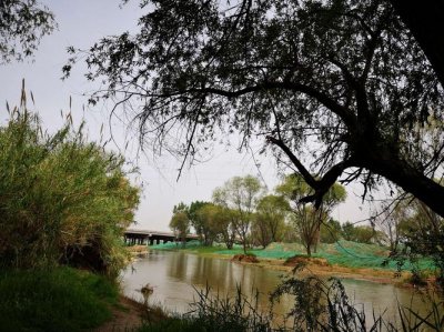 ​西安附近适合露营的地方