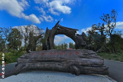 ​自带帐篷露营好去处