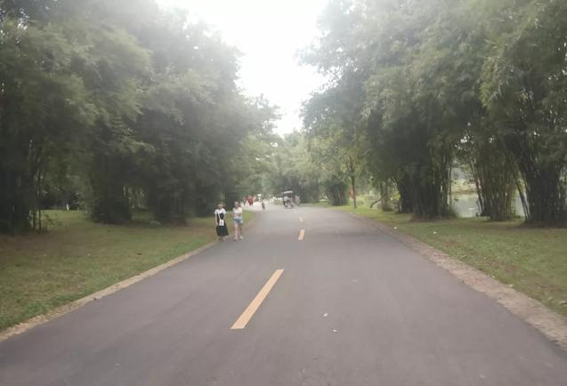 东莞松山湖好玩的景点有哪些 东莞最有名的景点(3)