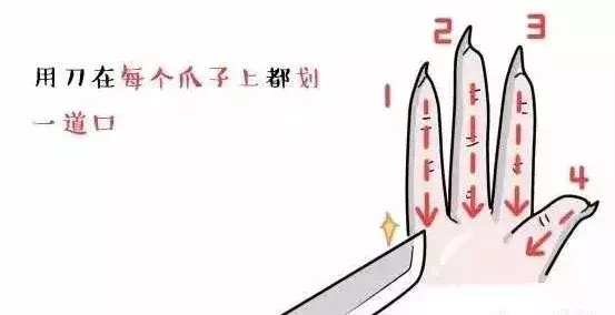 工人嘴啃无骨鸡爪（无骨鸡爪竟是工人用嘴啃出来的）