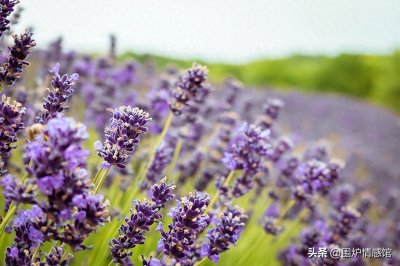 ​农历哪个月份出生的女人，比较旺夫带财，婚后不为钱烦恼生活美满