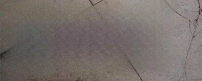 ​广州车牌是粤什么