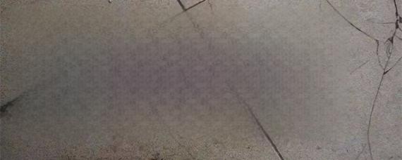 广州车牌是粤什么-